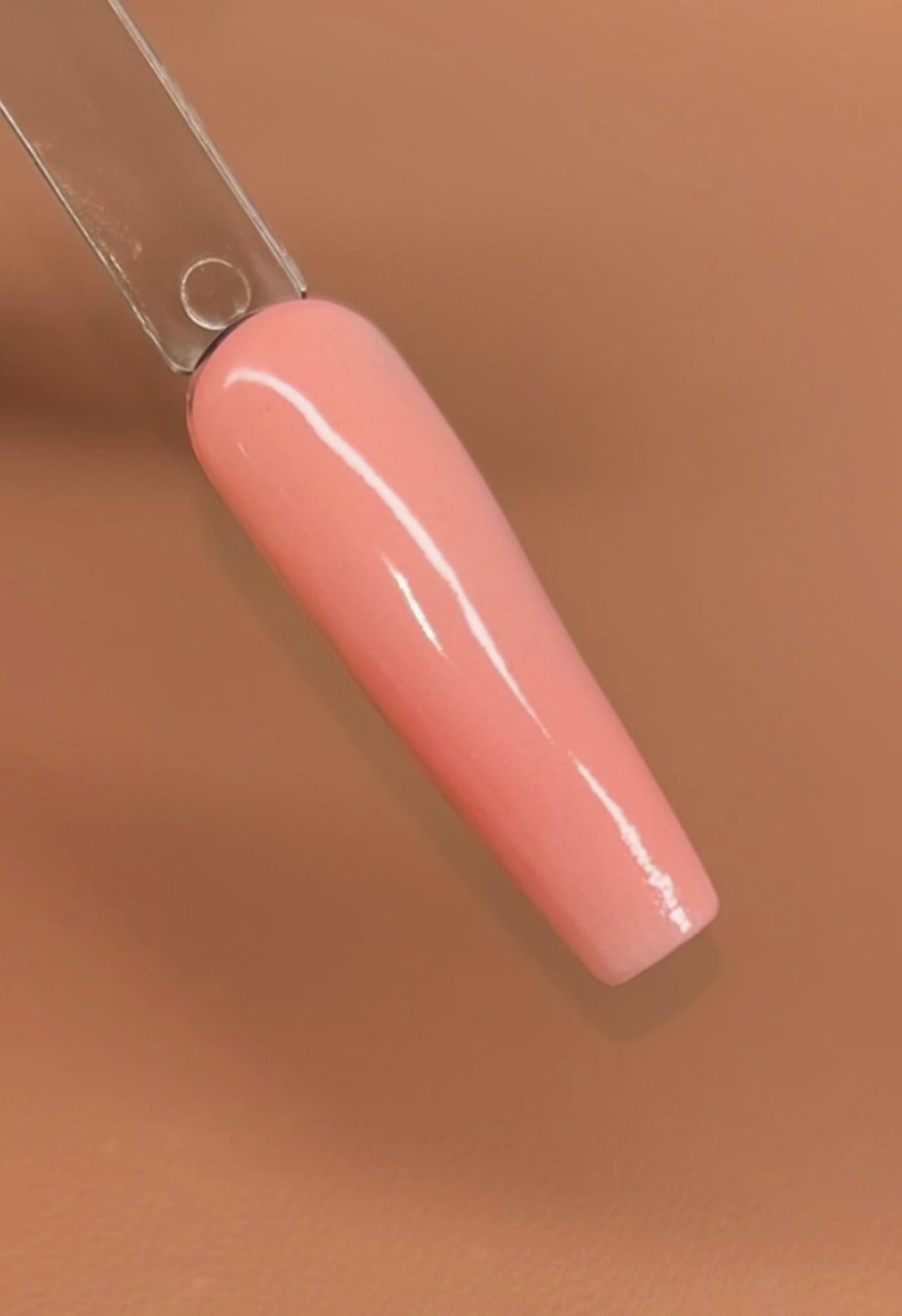 Sorbet